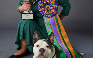 Capone the Pit Bull Wins at the 2022 American Rescue Dog Show