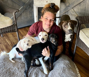 Community Rallies Around Women Whose Dogs were Stolen