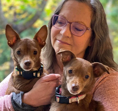 This Army of Volunteers Never Stops Looking For Lost Dogs