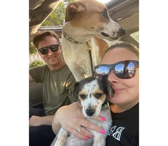 U.S. Navy Sailors are Reunited with Rescued Dogs