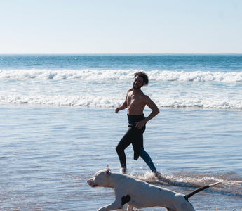 What Exercises Are Good And Bad For My Dog?