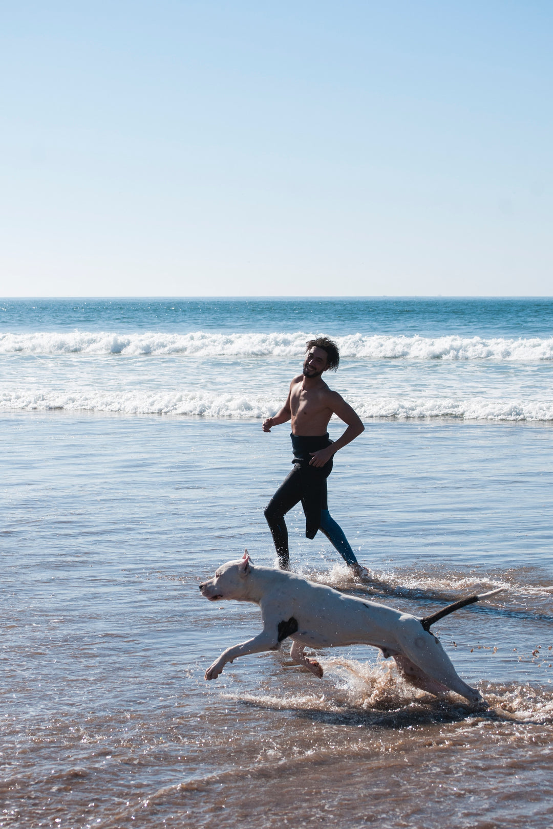 What Exercises Are Good And Bad For My Dog?