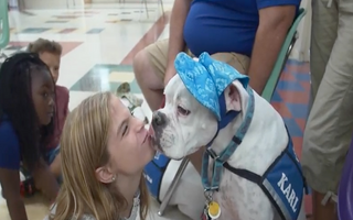 This Deaf Therapy Dog is a True Hear-O: The Story of Karl
