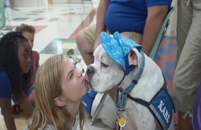 This Deaf Therapy Dog is a True Hear-O: The Story of Karl