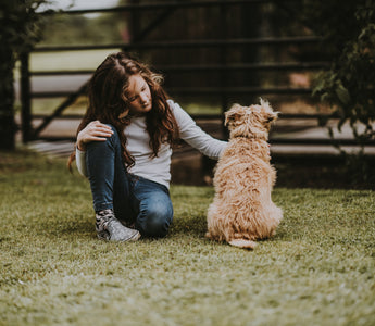 Will Massage Help my Dog's Arthritis?