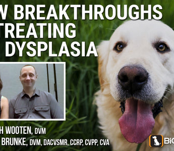New Breakthroughs In Treating Hip Dysplasia