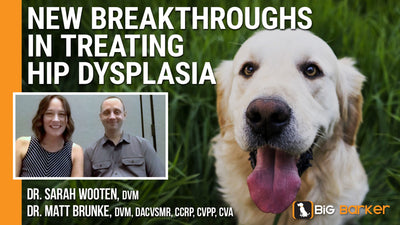 New Breakthroughs In Treating Hip Dysplasia