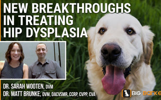 New Breakthroughs In Treating Hip Dysplasia