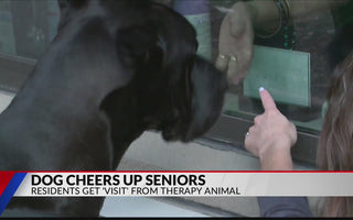 Texas therapy dog bringing a smile to senior citizens who can't have visitors