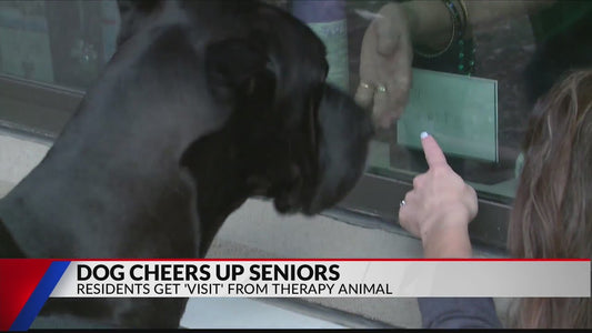Texas therapy dog bringing a smile to senior citizens who can't have visitors