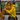 A Heartwarming Reunion of a Cancer Survivor and His Beloved Dog