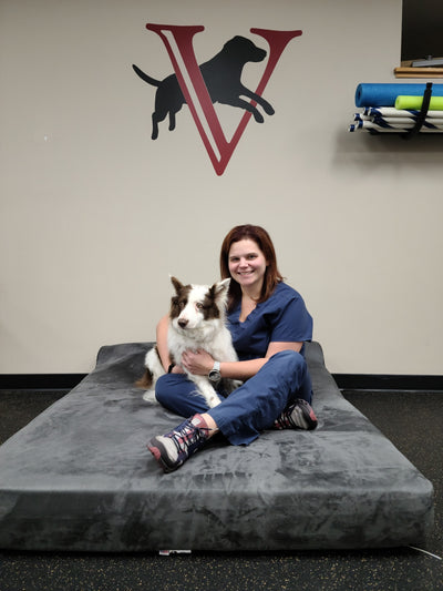 Vet REC: Veterinary Rehabilitation & Exercise Clinic of the Carolinas: Dr. Catherine Newman