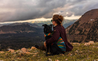 The Best Places to Take Your Pup on an Adventure