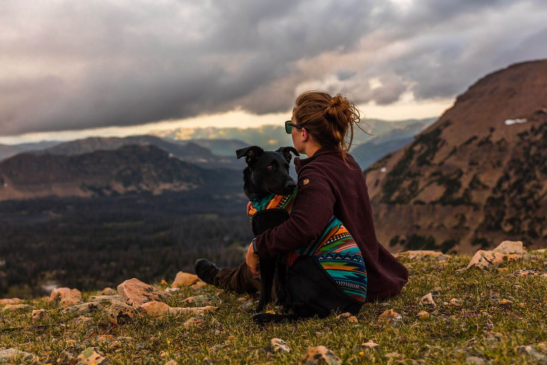 The Best Places to Take Your Pup on an Adventure