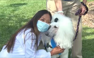 Pet Therapy Program Helps Relieve Stress, Bring Comfort To Healthcare Workers