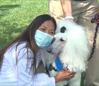 Pet Therapy Program Helps Relieve Stress, Bring Comfort To Healthcare Workers