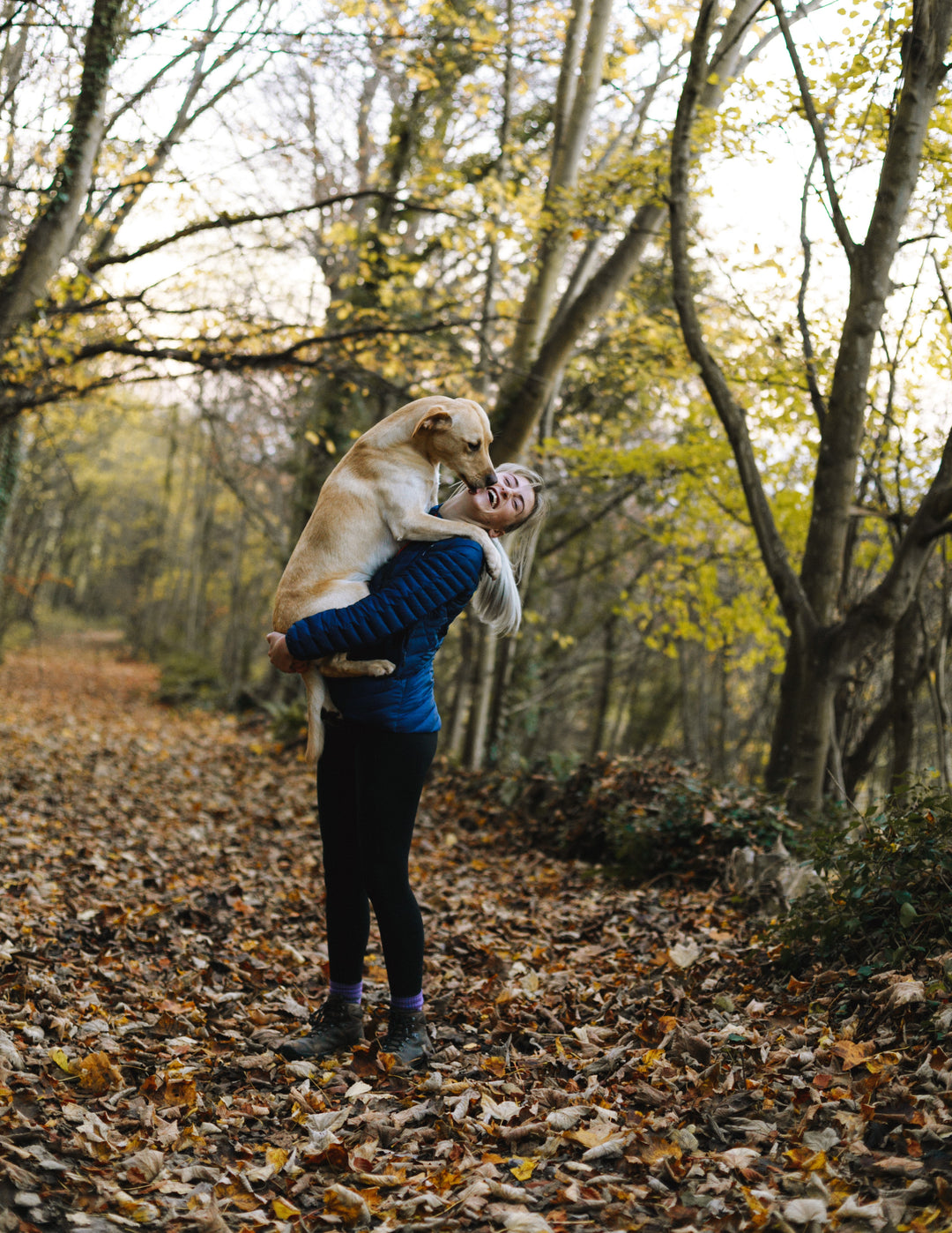 Unleash the Laughter: The Most Relatable Big Dog Parent Memes and Quotes