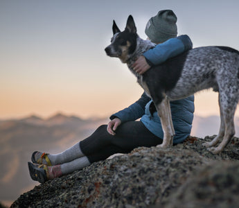 Is arthritis painful for dogs?