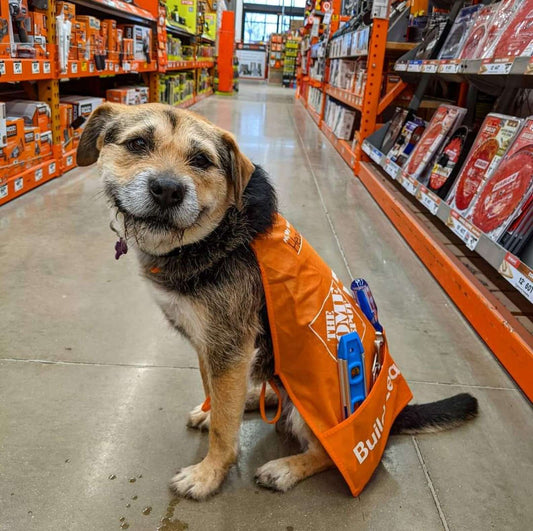 Home Depot Hired its Cutest (Honorary) Employee Ever