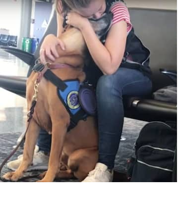 Owner Suffers Panic Attack - But Support Dog Runs To Rescue!