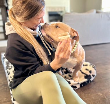 A Unique Date Night: Crafting Memories with Homemade Ice Cream for Dogs!