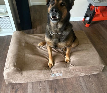 Big Barker Donates Beds To Middletown K9 Unit!
