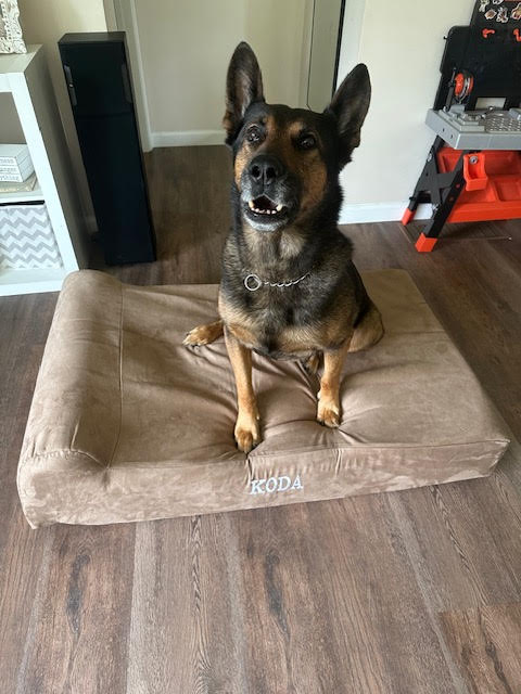 Big Barker Donates Beds To Middletown K9 Unit!