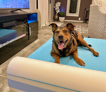 Chillin’ in Comfort: Barker Beds BarkerChill+ Bed Review