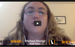 #BedWeek Day 4 Update!
