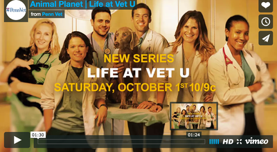 Big Barker Team Celebrates Premiere of "Life at Vet U" With Penn Vet!