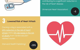 Is Dog Ownership the Secret to Heart Health?