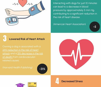 Is Dog Ownership the Secret to Heart Health?