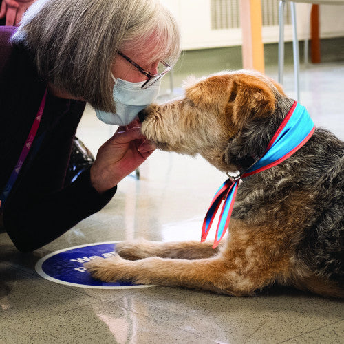 Foundation Trains the Next Generation of Therapy Dogs