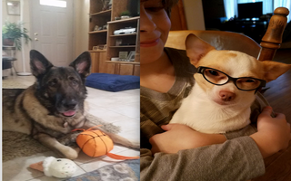 Thanksgiving Contest: Winners & Honorable Mentions!