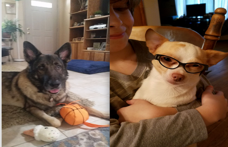 Thanksgiving Contest: Winners & Honorable Mentions!