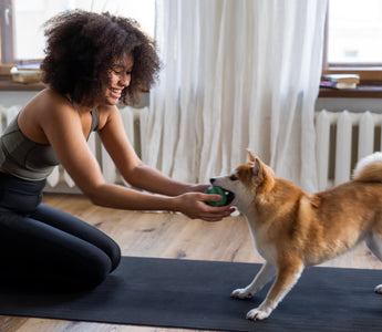 How to Treat Canine Arthritis at Home