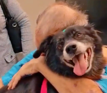 A Heartwarming Reunion Between a Patient and His Beloved Dog