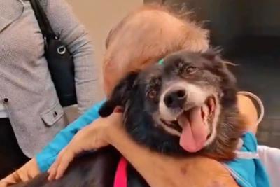 A Heartwarming Reunion Between a Patient and His Beloved Dog