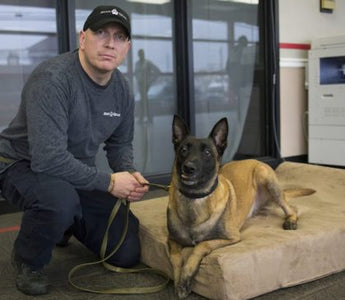 K9 Spotlight: Corporal Meik & K9 Zeke