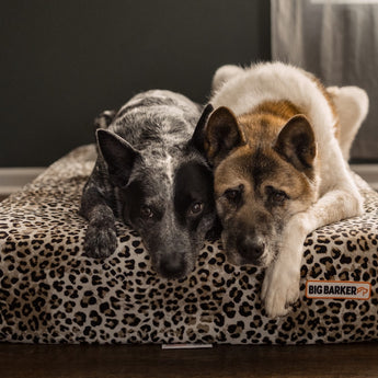 Big Barker Beds | Animal Print Collection