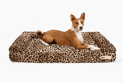 4" Orthopedic Sofa Bed | Limited Edition Animal Print