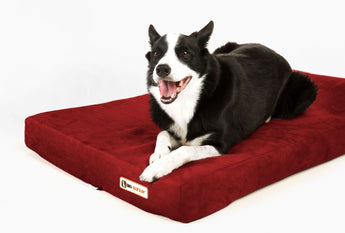option1:large-39-x-25-x-4|option2:burgundy|option3:*