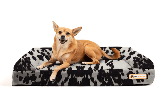 4" Orthopedic Sofa Bed | Limited Edition Animal Print