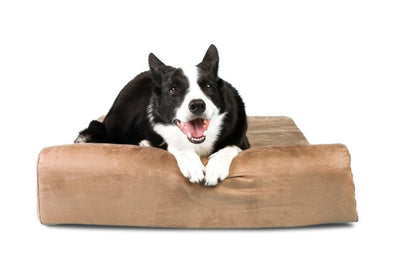 Barker Junior Orthopedic Small to Medium Dog Bed Big Barker