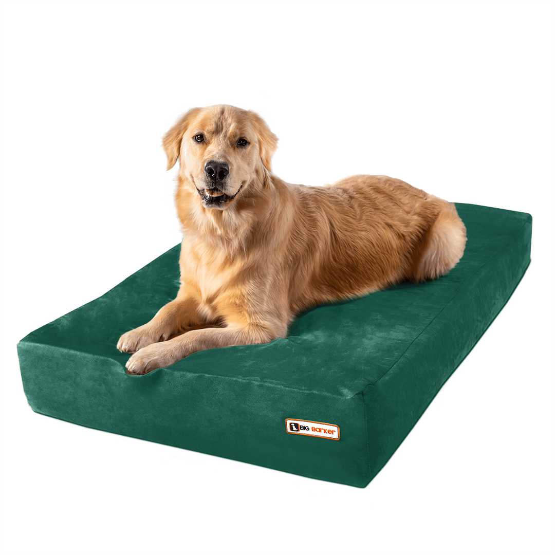 Big barker shop dog bed australia