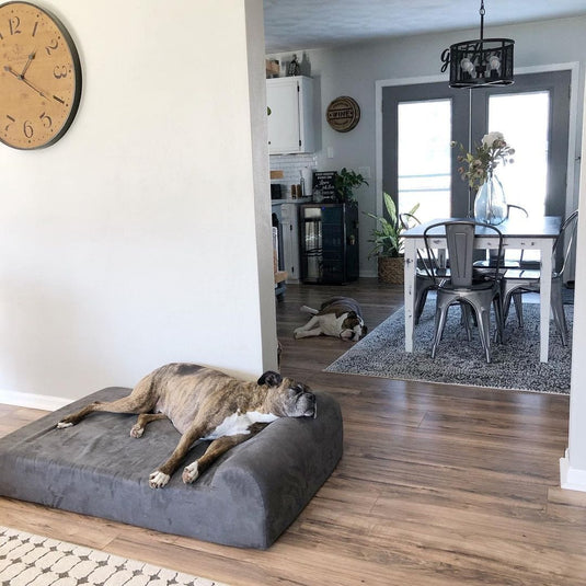 Big Barker Dog Bed Reviews