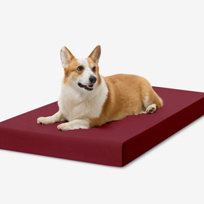OrthoLift Crate Bed