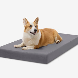 OrthoLift Crate Bed