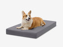 Big Barker OrthoLift Crate Bed Medium - Tough Cordura