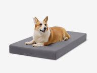 Big Barker OrthoLift Crate Bed Medium - Tough Cordura